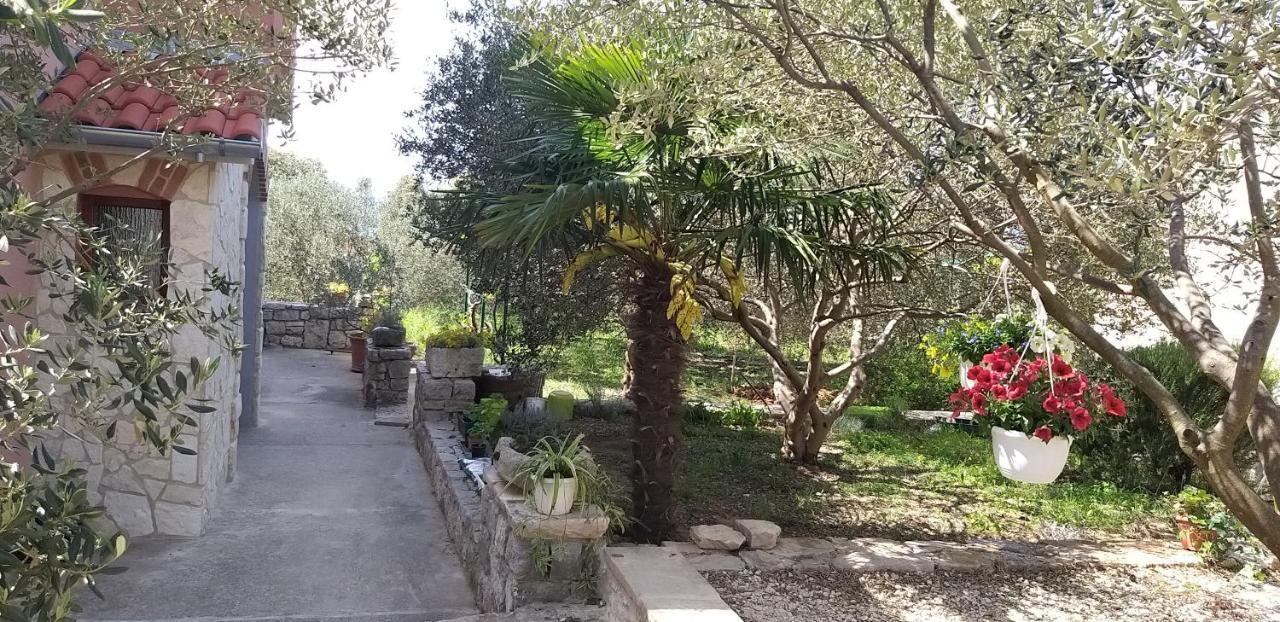 Apartman Rabatin Sveti Filip i Jakov Exterior photo