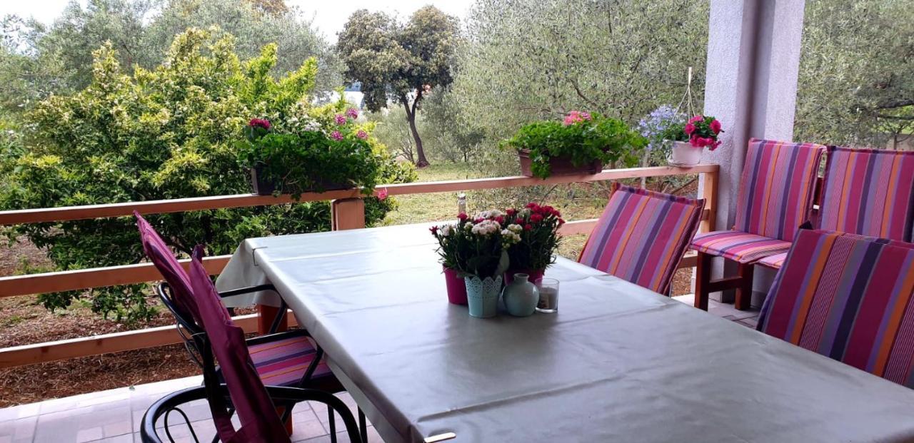 Apartman Rabatin Sveti Filip i Jakov Exterior photo